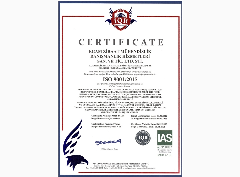 ISO 9001